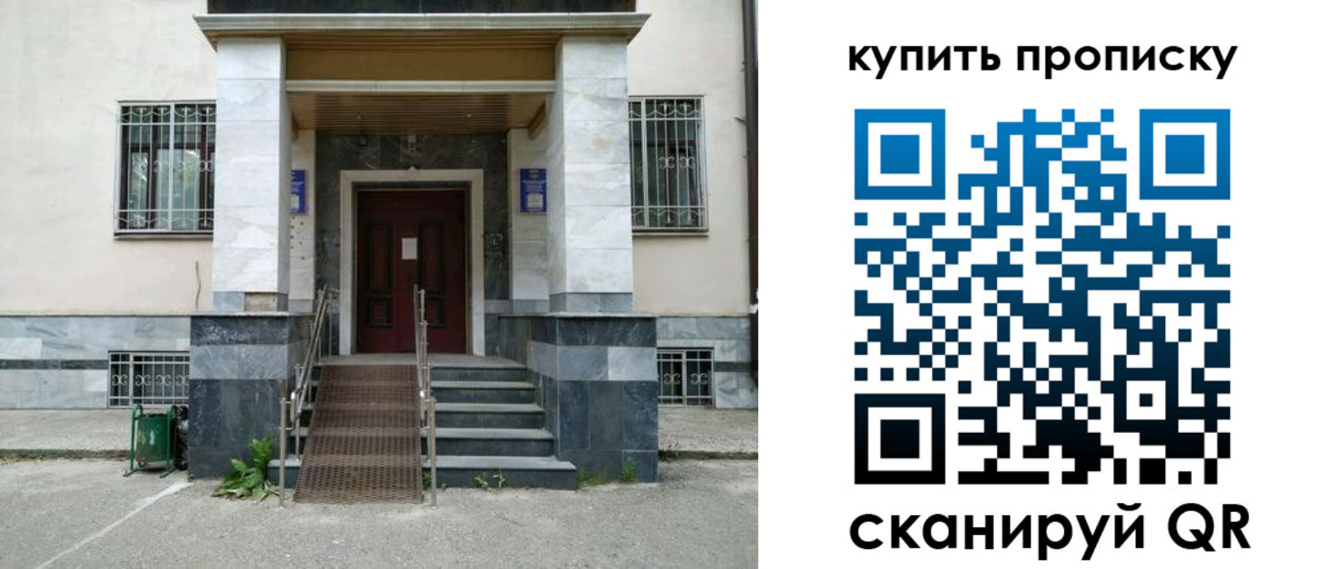 прописка поиск в Павловске